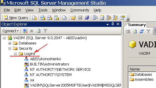 Папка Logins в дереве объектов Microsoft SQL Server Management Studio на SQL